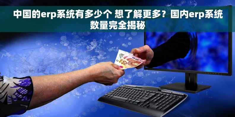 中国的erp系统有多少个 想了解更多？国内erp系统数量完全揭秘