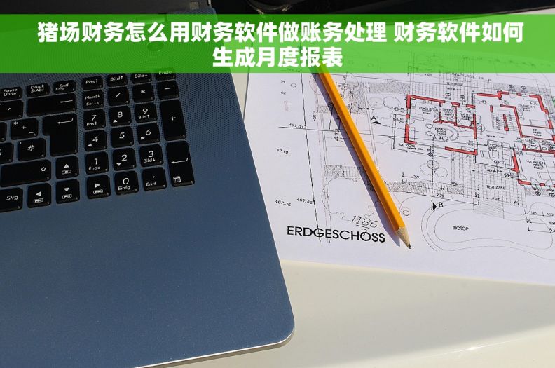 猪场财务怎么用财务软件做账务处理 财务软件如何生成月度报表 猪场财务怎么用财务软件做账务处理 财务软件如何生成月度报表