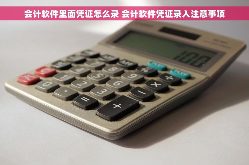 会计软件里面凭证怎么录 会计软件凭证录入注意事项 会计软件里面凭证怎么录 会计软件凭证录入注意事项