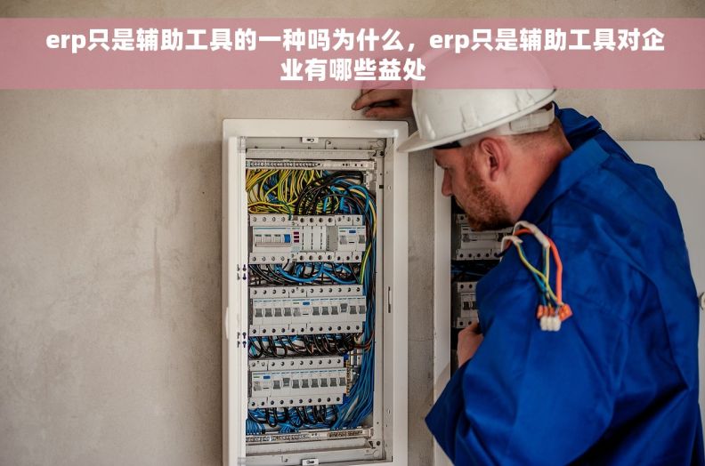  erp只是辅助工具的一种吗为什么，erp只是辅助工具对企业有哪些益处