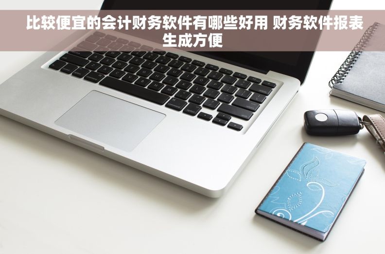  比较便宜的会计财务软件有哪些好用 财务软件报表生成方便