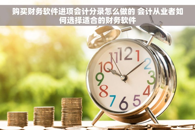 购买财务软件进项会计分录怎么做的 会计从业者如何选择适合的财务软件 购买财务软件进项会计分录怎么做的 会计从业者如何选择适合的财务软件