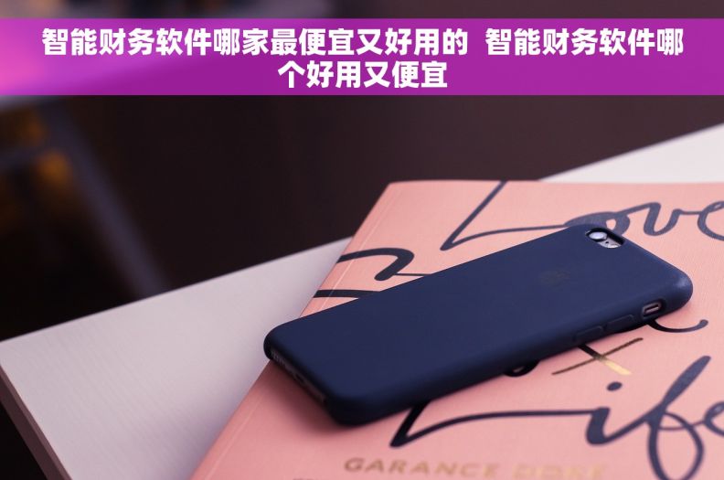 智能财务软件哪家最便宜又好用的  智能财务软件哪个好用又便宜