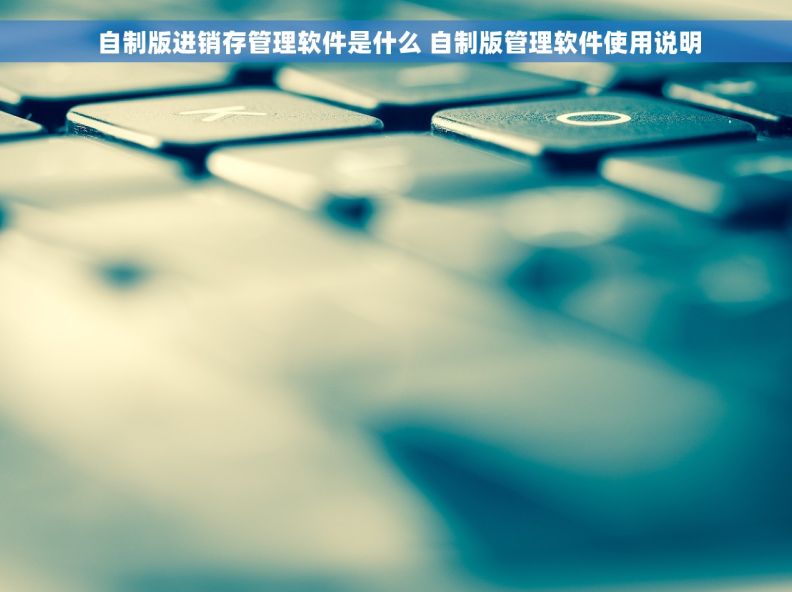 自制版进销存管理软件是什么 自制版管理软件使用说明 自制版进销存管理软件是什么 自制版管理软件使用说明