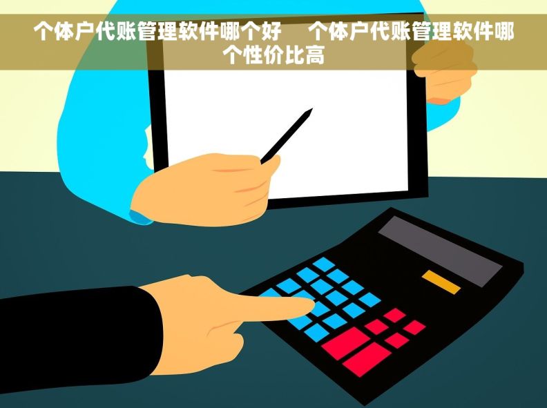 个体户代账管理软件哪个好     个体户代账管理软件哪个性价比高