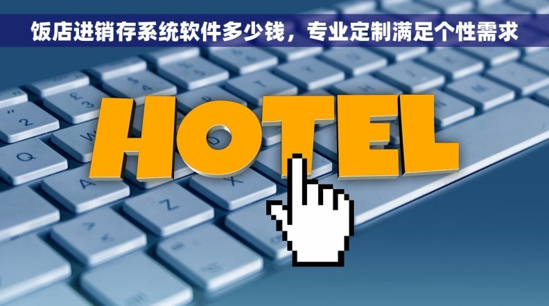 饭店进销存系统软件多少钱，专业定制满足个性需求