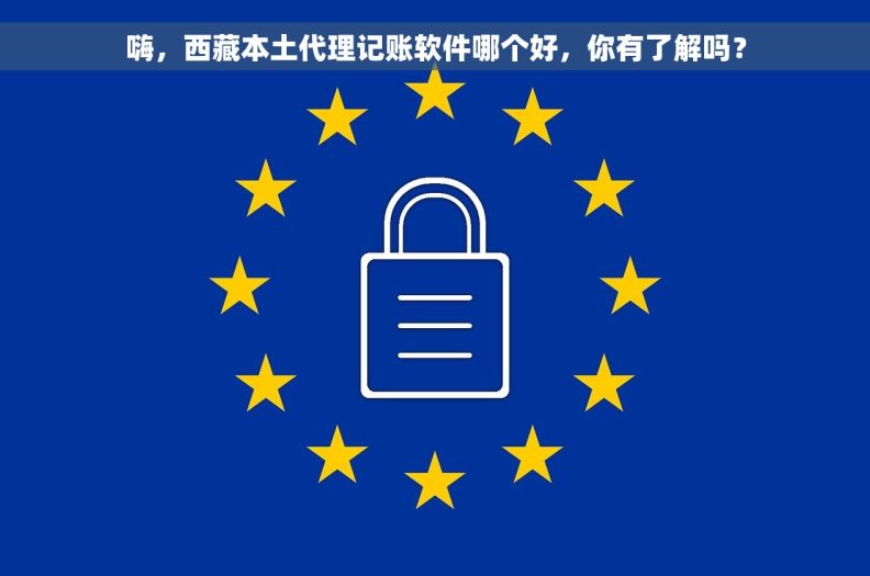 嗨，西藏本土代理记账软件哪个好，你有了解吗？