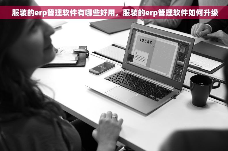  服装的erp管理软件有哪些好用，服装的erp管理软件如何升级