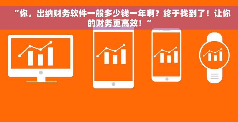 “你，出纳财务软件一般多少钱一年啊？终于找到了！让你的财务更高效！”