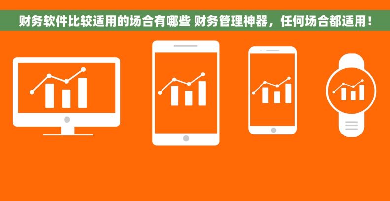 财务软件比较适用的场合有哪些 财务管理神器，任何场合都适用！