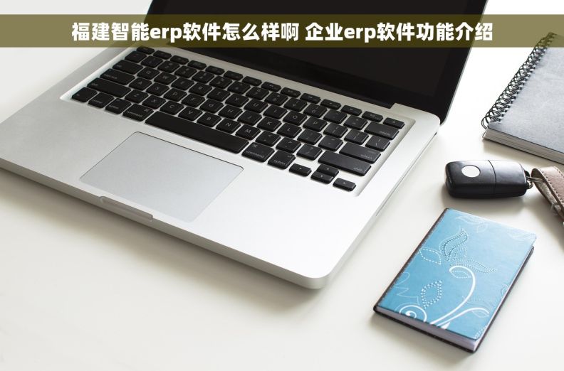 福建智能erp软件怎么样啊 企业erp软件功能介绍