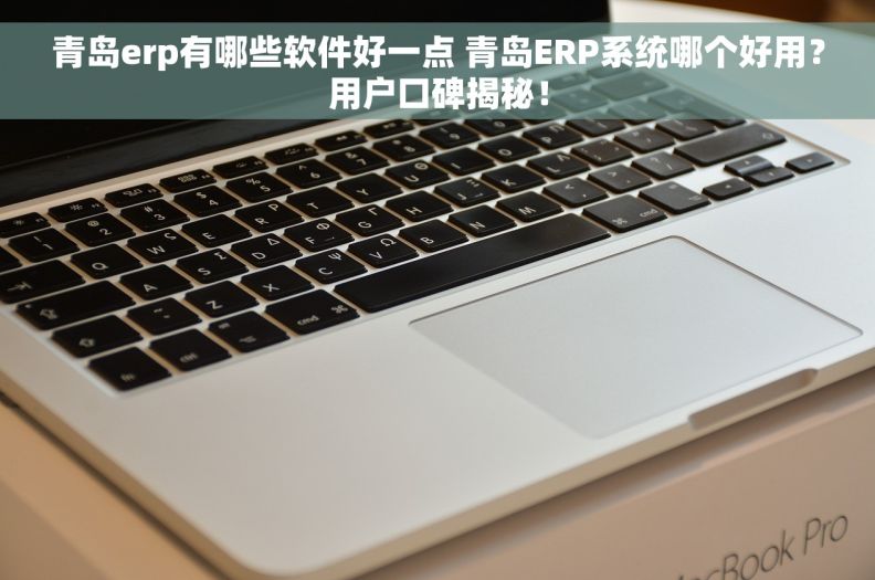 青岛erp有哪些软件好一点 青岛ERP系统哪个好用？用户口碑揭秘！