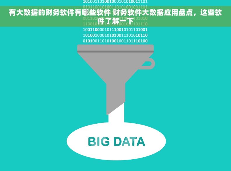 有大数据的财务软件有哪些软件 财务软件大数据应用盘点，这些软件了解一下