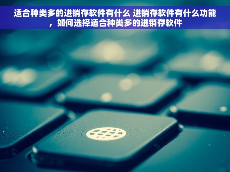适合种类多的进销存软件有什么 进销存软件有什么功能，如何选择适合种类多的进销存软件