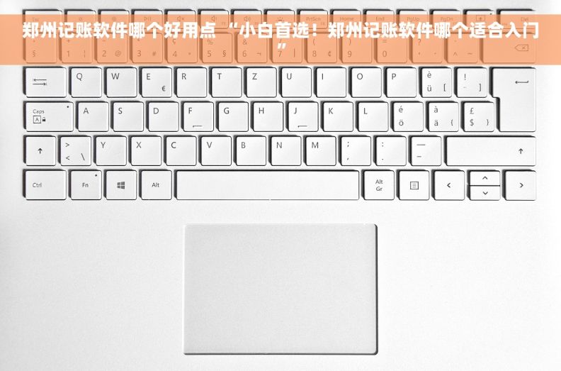 郑州记账软件哪个好用点 “小白首选！郑州记账软件哪个适合入门”