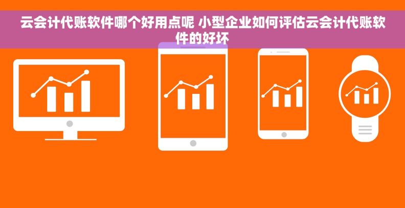 云会计代账软件哪个好用点呢 小型企业如何评估云会计代账软件的好坏