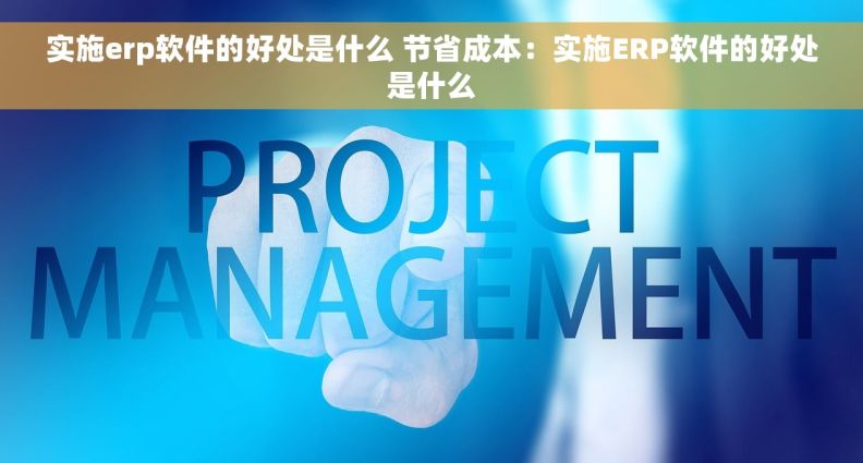实施erp软件的好处是什么 节省成本：实施ERP软件的好处是什么