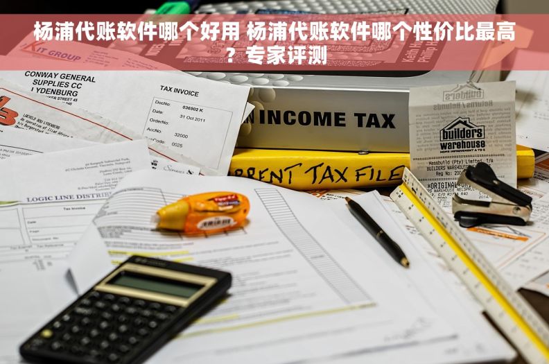 杨浦代账软件哪个好用 杨浦代账软件哪个性价比最高？专家评测