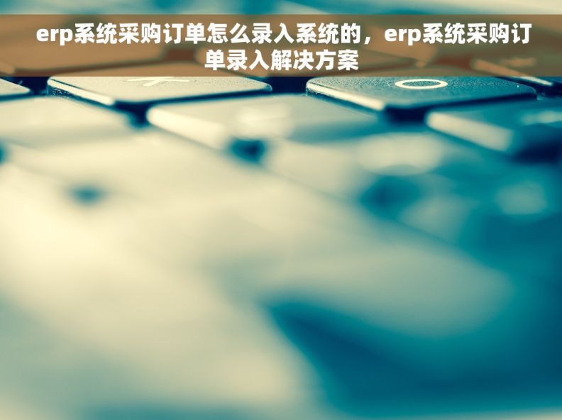  erp系统采购订单怎么录入系统的，erp系统采购订单录入解决方案