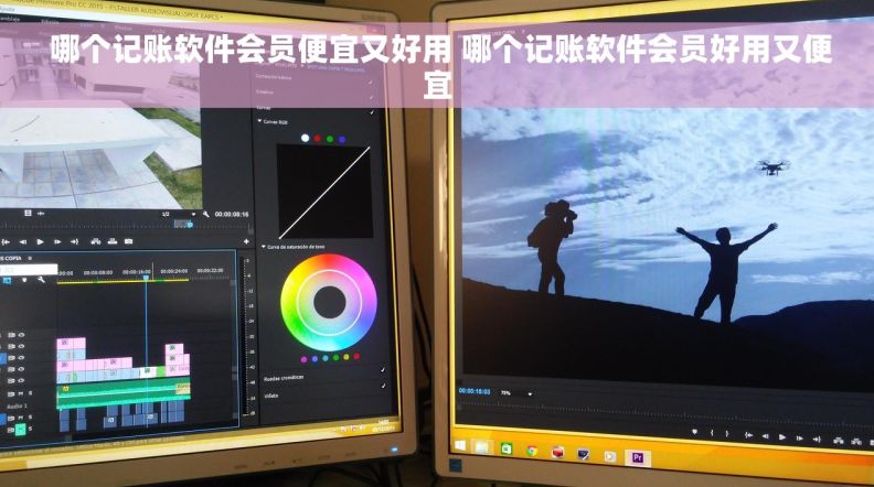  哪个记账软件会员便宜又好用 哪个记账软件会员好用又便宜