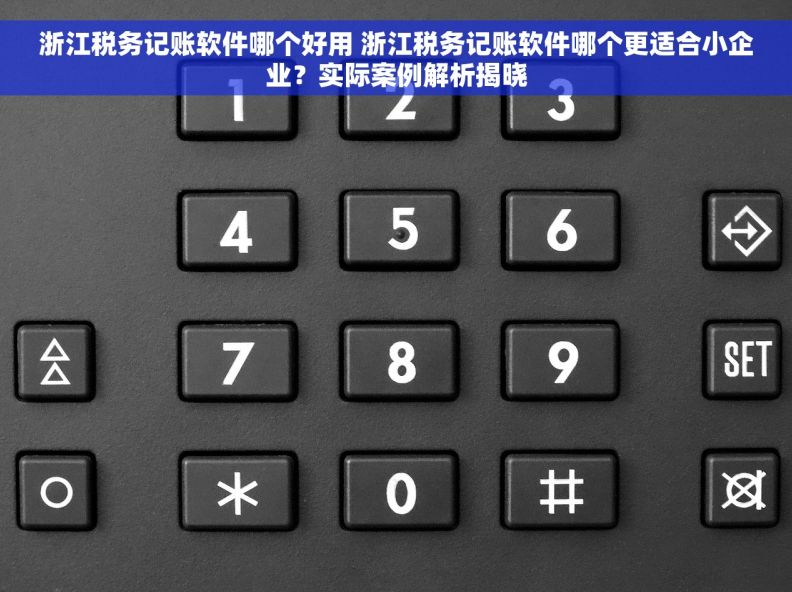 浙江税务记账软件哪个好用 浙江税务记账软件哪个更适合小企业？实际案例解析揭晓