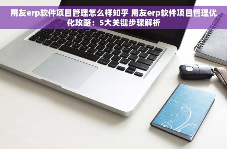 用友erp软件项目管理怎么样知乎 用友erp软件项目管理优化攻略：5大关键步骤解析