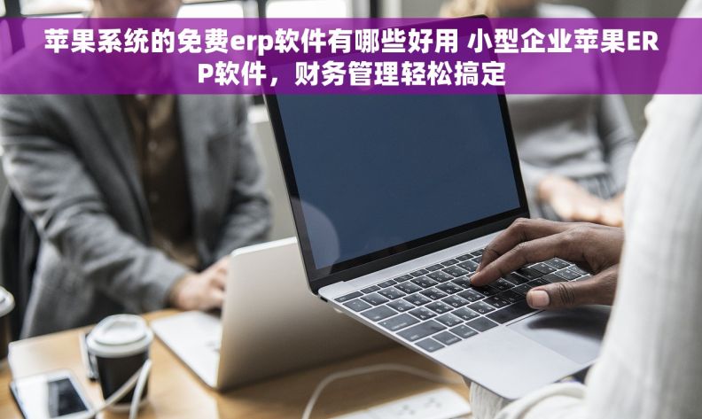苹果系统的免费erp软件有哪些好用 小型企业苹果ERP软件，财务管理轻松搞定