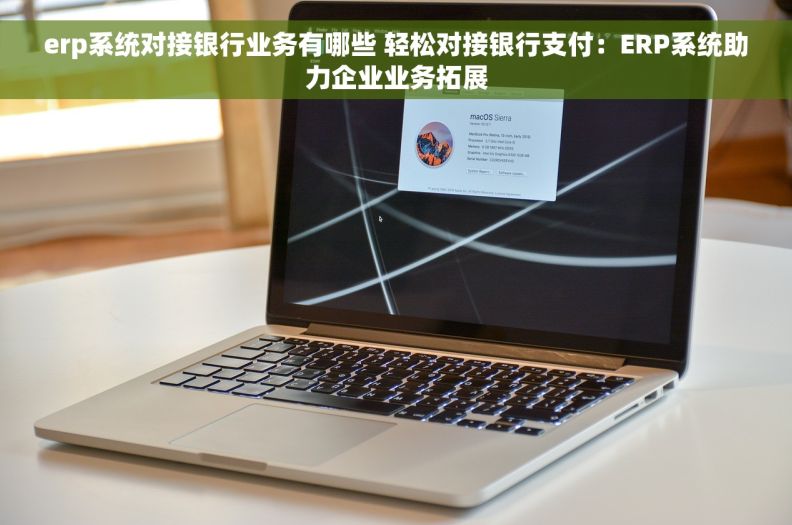 erp系统对接银行业务有哪些 轻松对接银行支付：ERP系统助力企业业务拓展