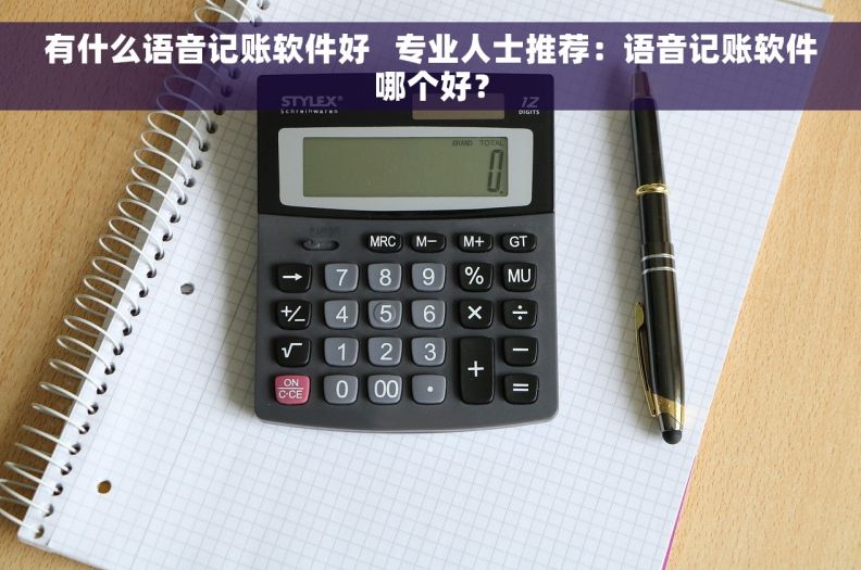 有什么语音记账软件好   专业人士推荐：语音记账软件哪个好？