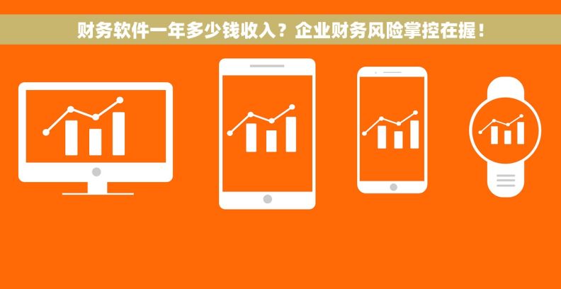财务软件一年多少钱收入?企业财务风险掌控在握! 财务软件一年多少钱收入?企业财务风险掌控在握!
