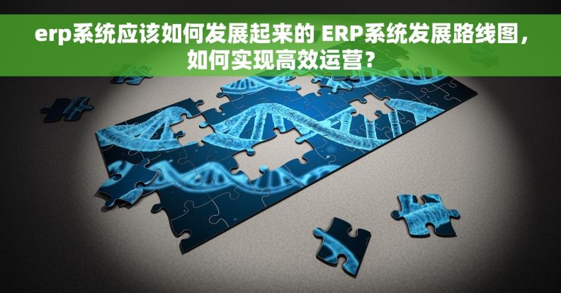 erp系统应该如何发展起来的 ERP系统发展路线图，如何实现高效运营？
