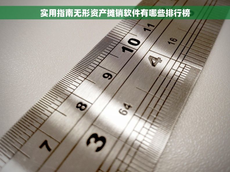实用指南无形资产摊销软件有哪些排行榜
