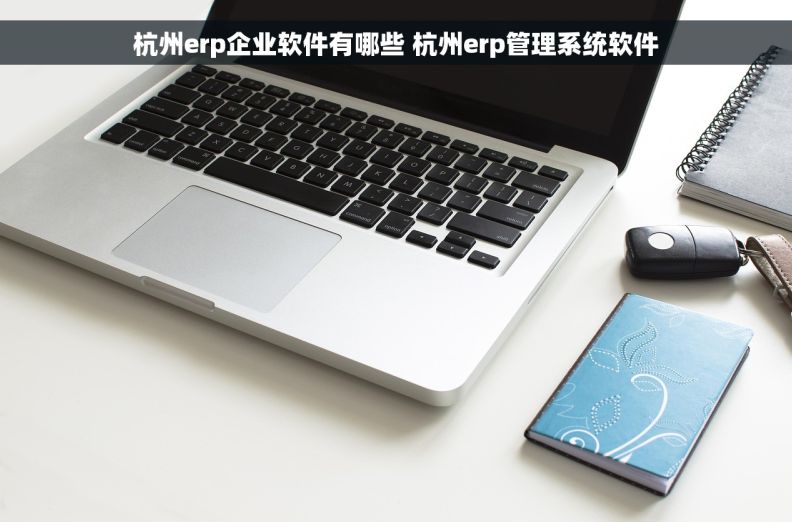 杭州erp企业软件有哪些 杭州erp管理系统软件