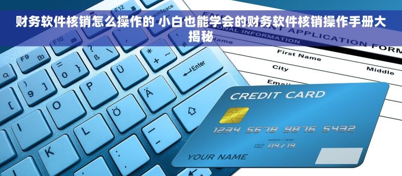 财务软件核销怎么操作的 小白也能学会的财务软件核销操作手册大揭秘
