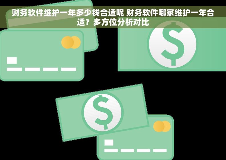 财务软件维护一年多少钱合适呢 财务软件哪家维护一年合适？多方位分析对比