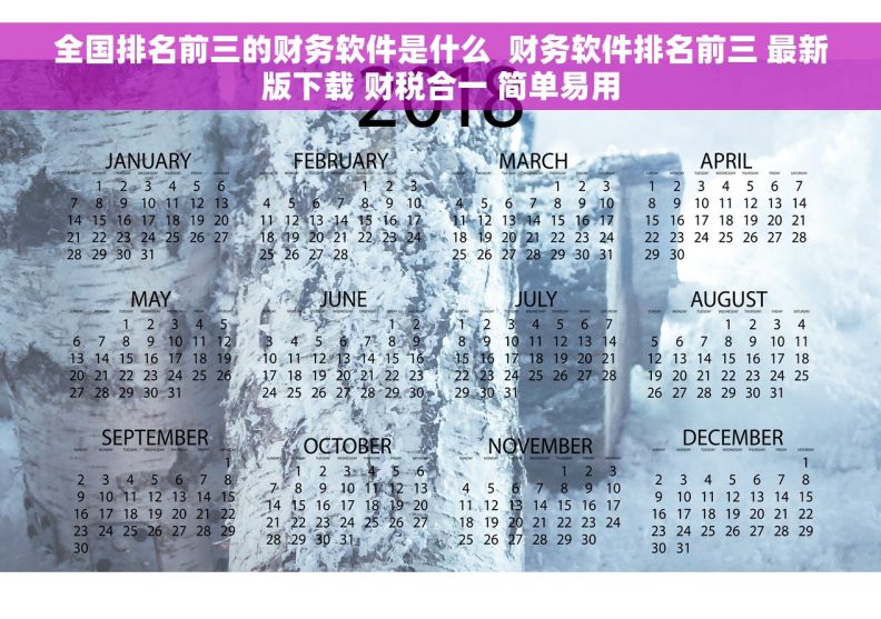 全国排名前三的财务软件是什么  财务软件排名前三 最新版下载 财税合一 简单易用