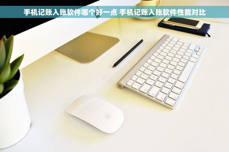 手机记账入账软件哪个好一点 手机记账入账软件性能对比 手机记账入账软件哪个好一点 手机记账入账软件性能对比
