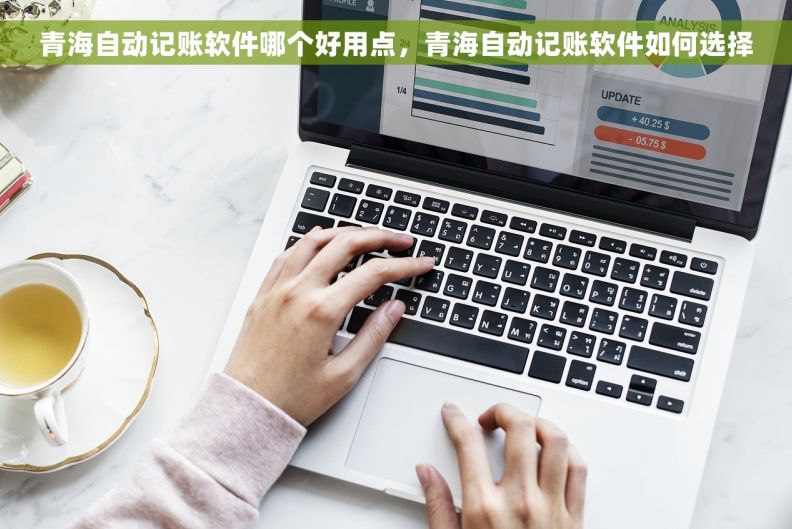 青海自动记账软件哪个好用点，青海自动记账软件如何选择