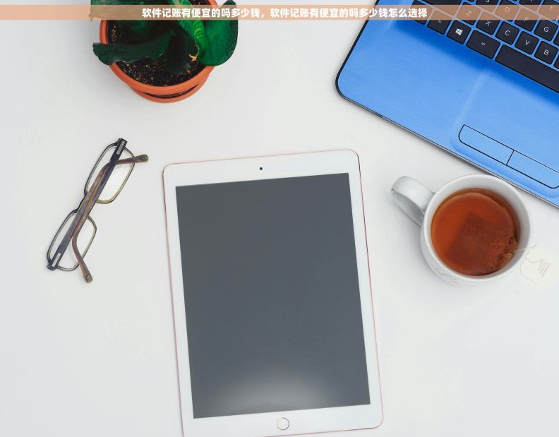 软件记账有便宜的吗多少钱,软件记账有便宜的吗多少钱怎么选择 软件记账有便宜的吗多少钱,软件记账有便宜的吗多少钱怎么选择
