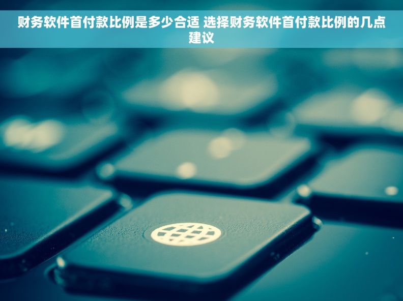 财务软件首付款比例是多少合适 选择财务软件首付款比例的几点建议 财务软件首付款比例是多少合适 选择财务软件首付款比例的几点建议