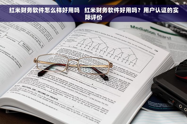 红米财务软件怎么样好用吗   红米财务软件好用吗？用户认证的实际评价