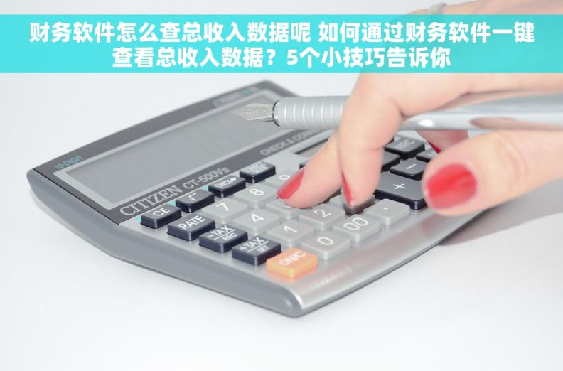 财务软件怎么查总收入数据呢 如何通过财务软件一键查看总收入数据?5个小技巧告诉你 财务软件怎么查总收入数据呢 如何通过财务软件一键查看总收入数据?5个小技巧告诉你