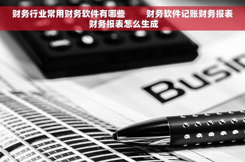 财务行业常用财务软件有哪些         财务软件记账财务报表 财务报表怎么生成