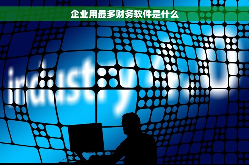 企业用最多财务软件是什么