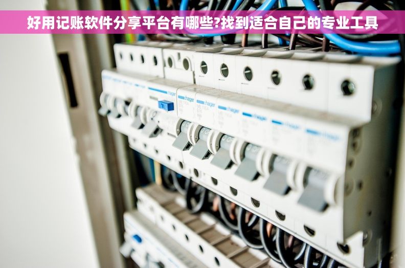 好用记账软件分享平台有哪些?找到适合自己的专业工具