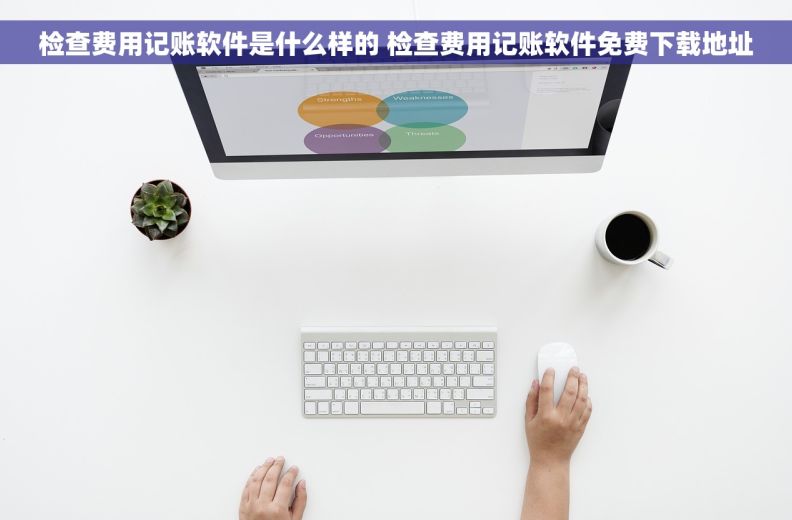 检查费用记账软件是什么样的 检查费用记账软件免费下载地址