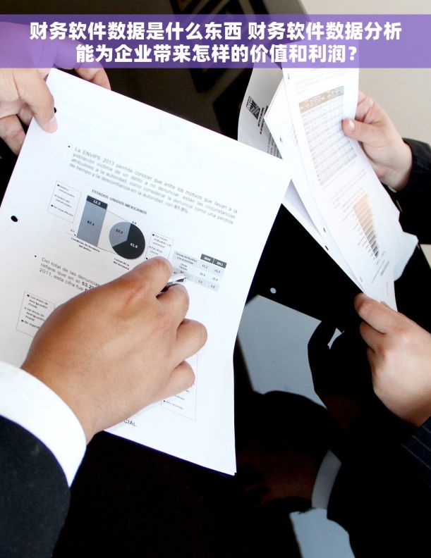 财务软件数据是什么东西 财务软件数据分析能为企业带来怎样的价值和利润? 财务软件数据是什么东西 财务软件数据分析能为企业带来怎样的价值和利润?