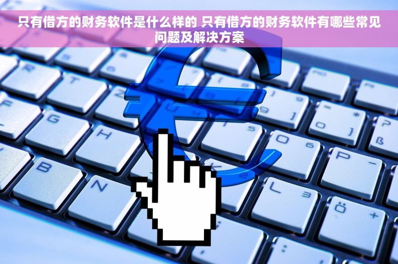 只有借方的财务软件是什么样的 只有借方的财务软件有哪些常见问题及解决方案 只有借方的财务软件是什么样的 只有借方的财务软件有哪些常见问题及解决方案