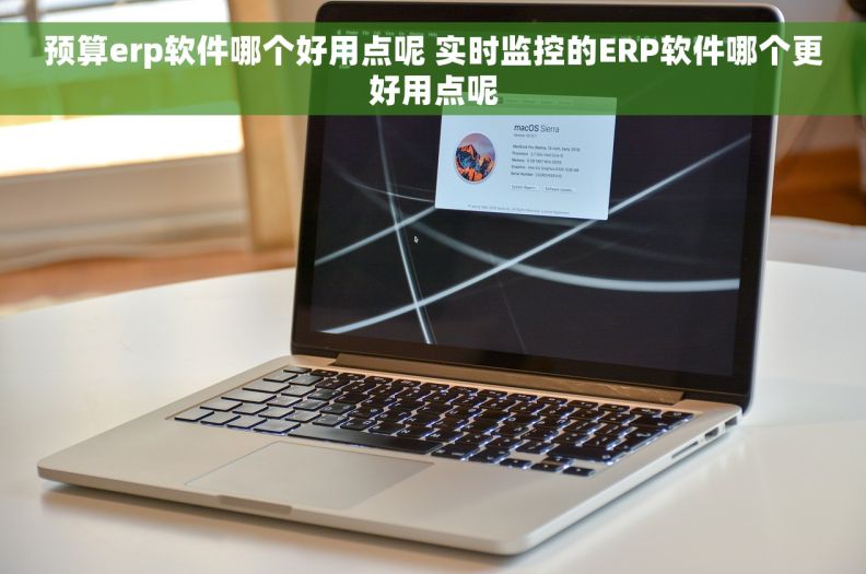 预算erp软件哪个好用点呢 实时监控的ERP软件哪个更好用点呢