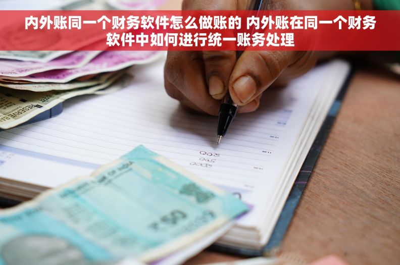 内外账同一个财务软件怎么做账的 	内外账在同一个财务软件中如何进行统一账务处理
